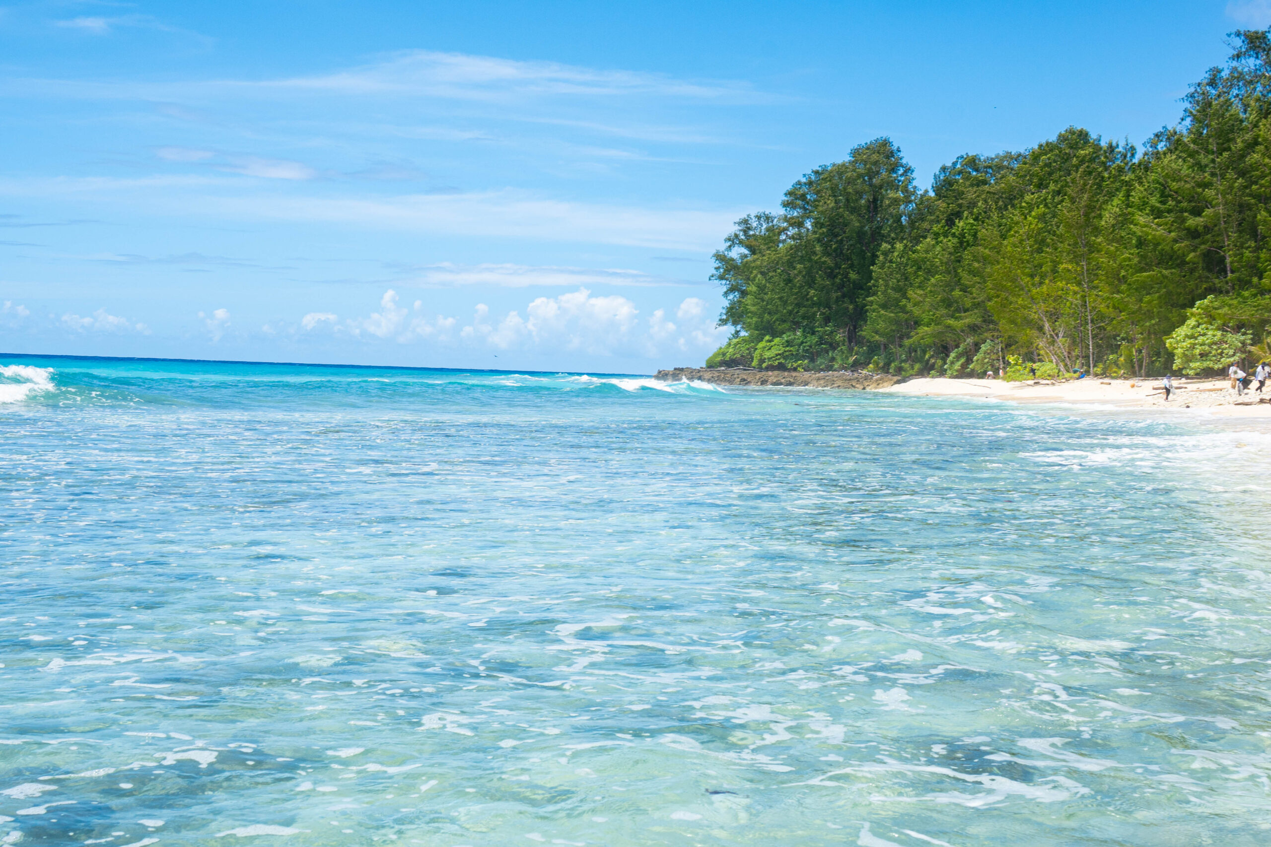 パラオツアー 手配業務